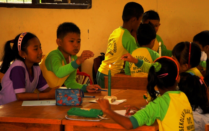 Developing Smart Problem Solvers