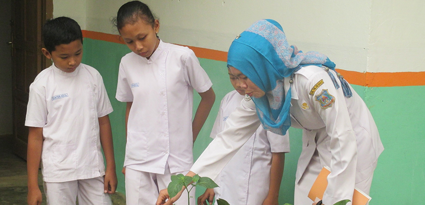 Kid Doctors As Watch-Dogs for Public Health
