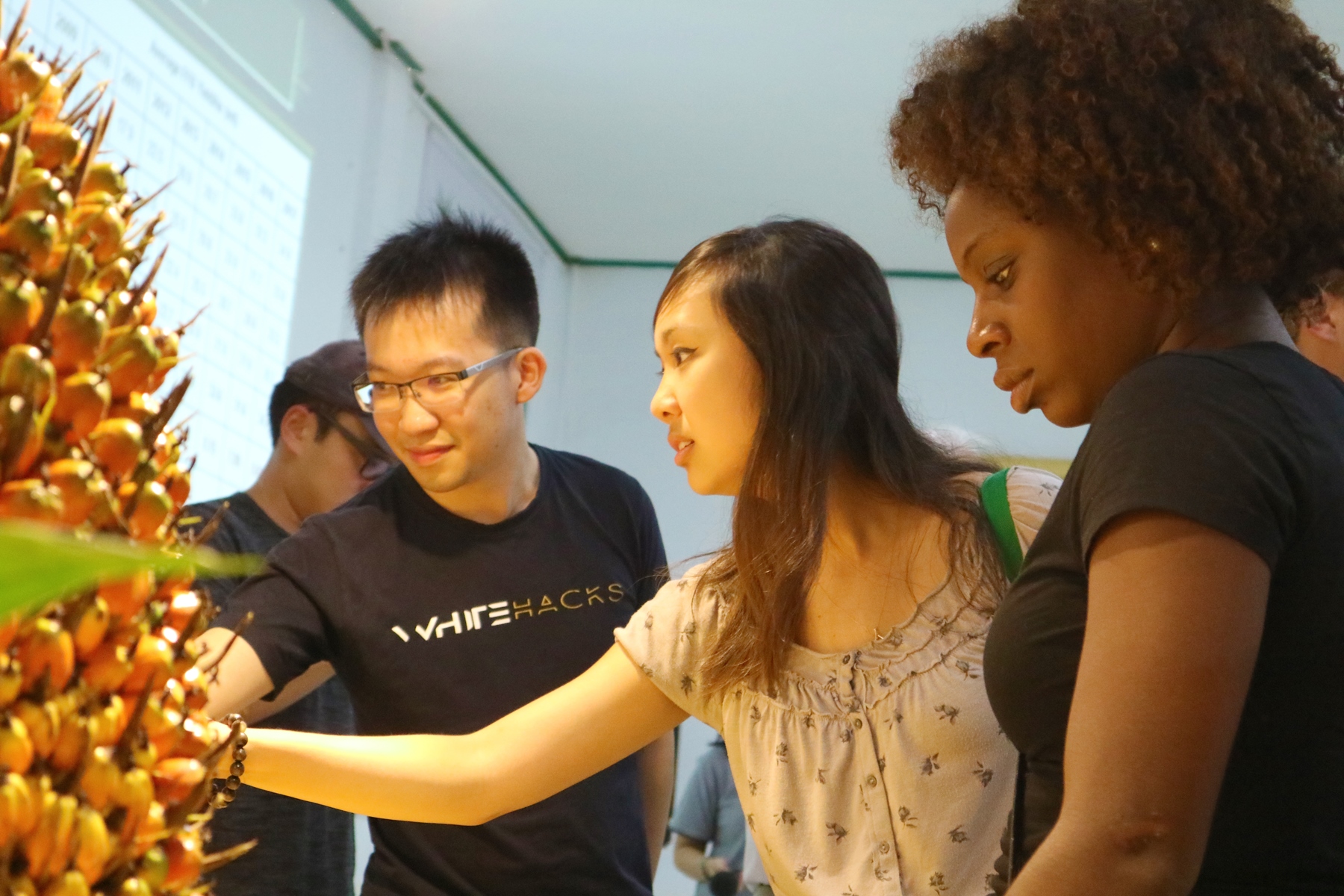 Global Modular Course Invites Wharton School Students to Learn Sustainability Practices in Riau