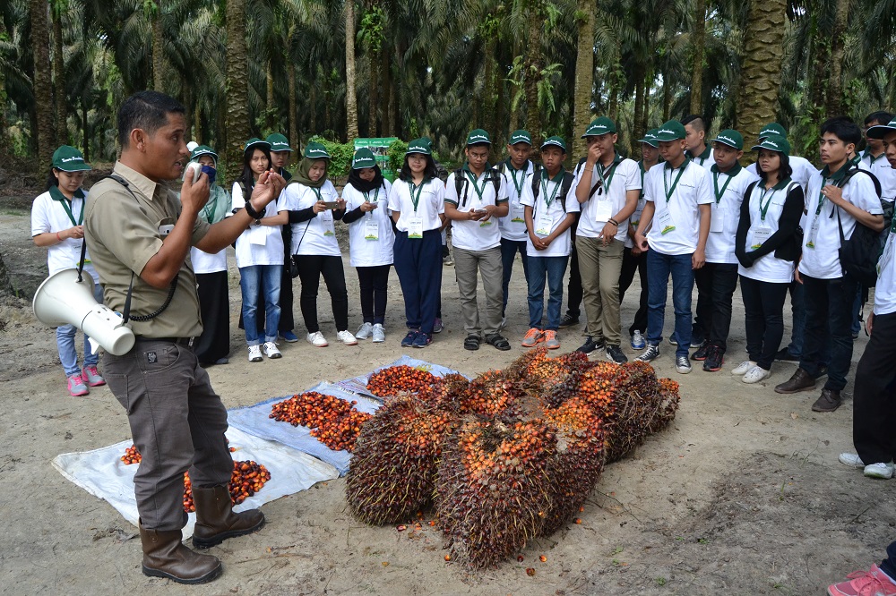 Bringing Tanoto Scholars to Understand the Industrial and Professional Worlds