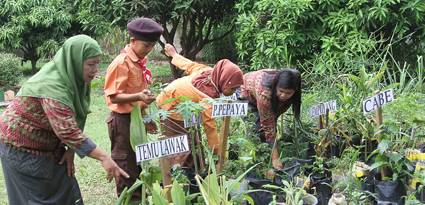 Developing Discipline and Cleanliness in Children