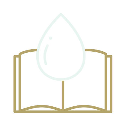 Promote sustainable development in education