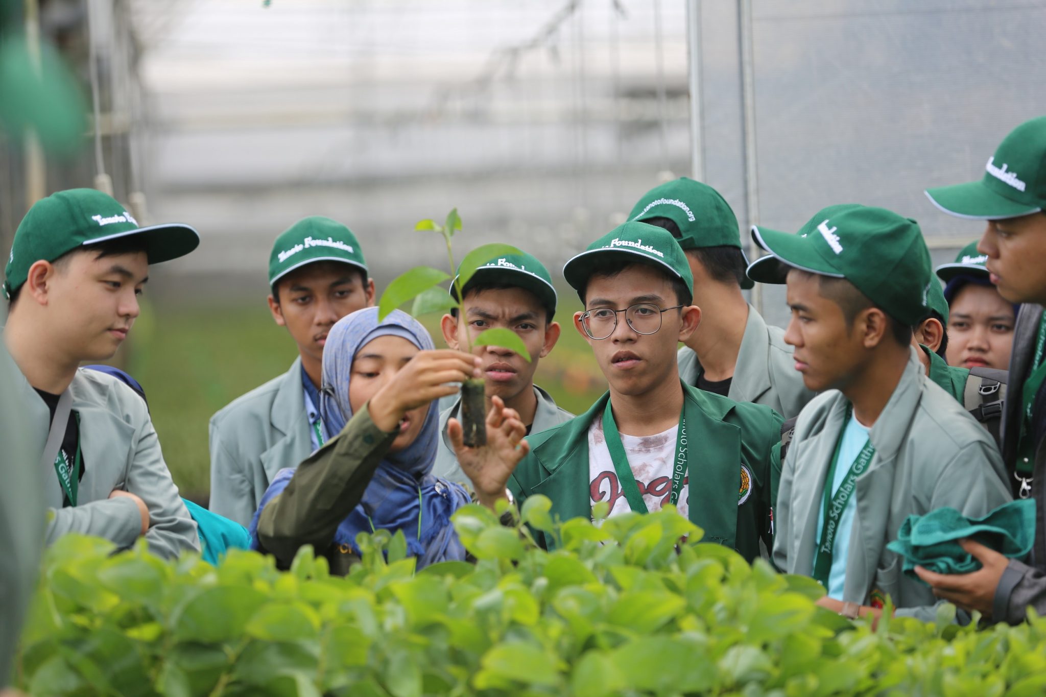 Scholarships? Let’s Get Tanoto Foundation’s!