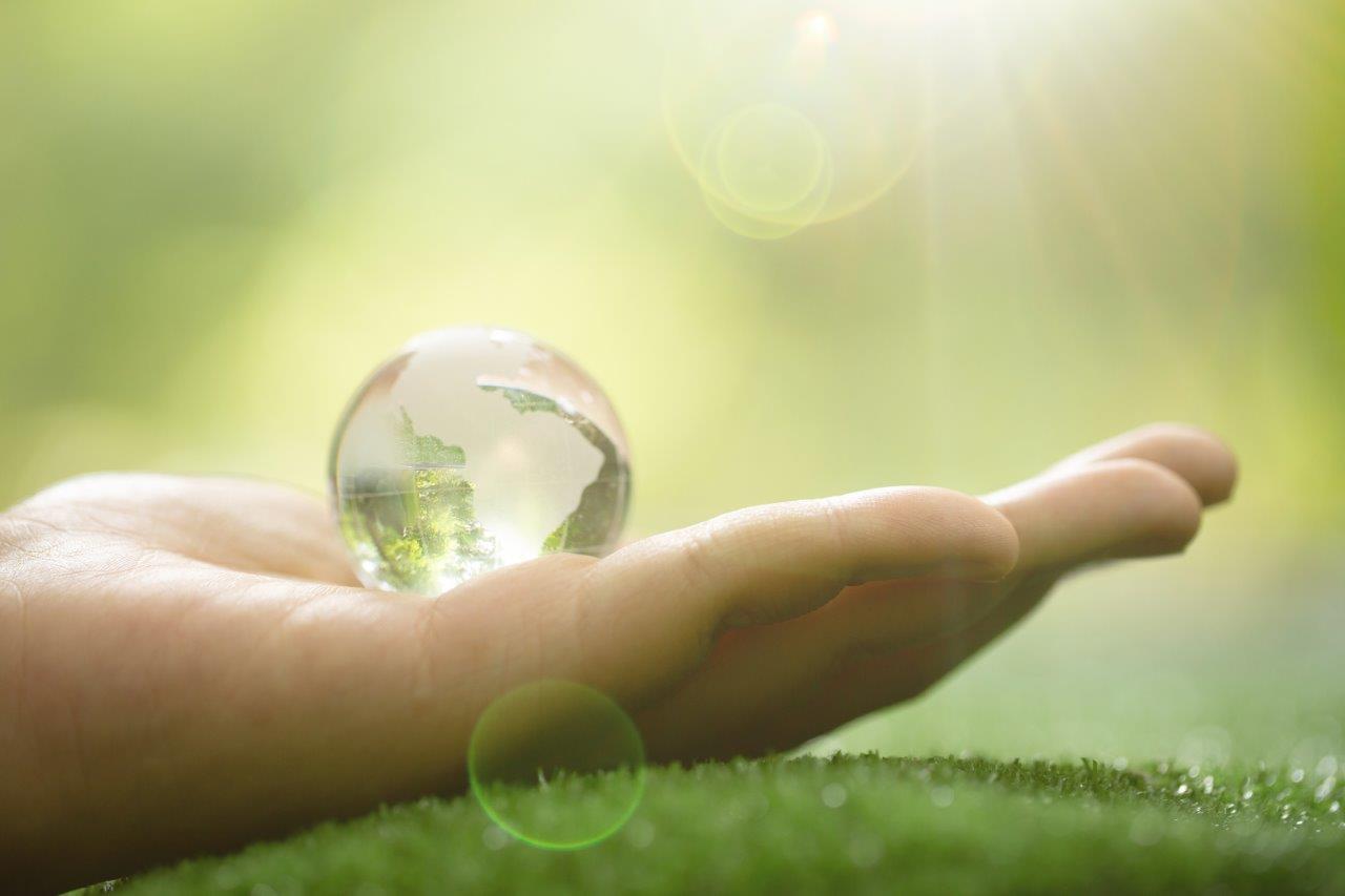 Tanoto Scholar Yumna Dzakiyyah to Represent Asia Pacific in Schneider Go Green 2021’s Global Finals